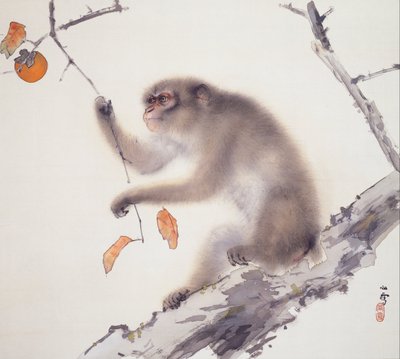 Scimmia da Hashimoto Kansetsu